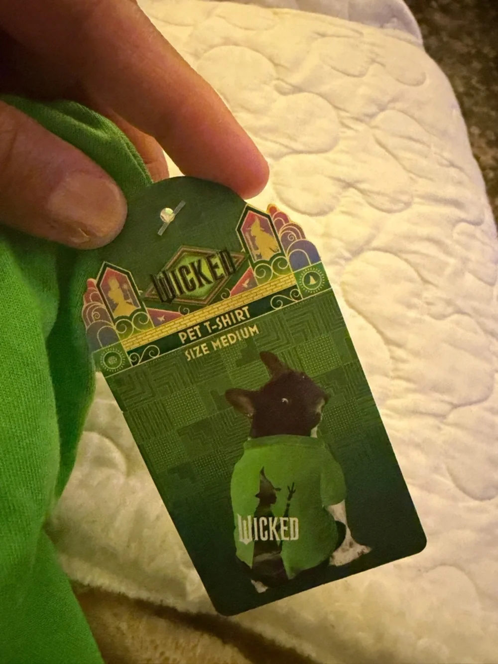 Wicked green  Pet Costume medium Halloween nwt dog